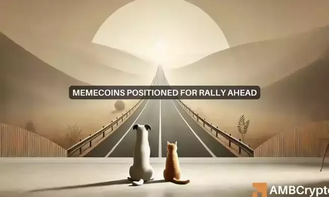 Memecoin boom? Why these tokens could rally this November!