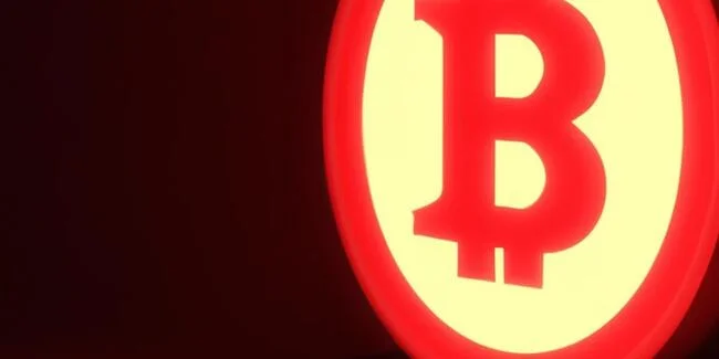 Michael Saylor Explains Why Bitcoin is a Strong Long-Term Investment