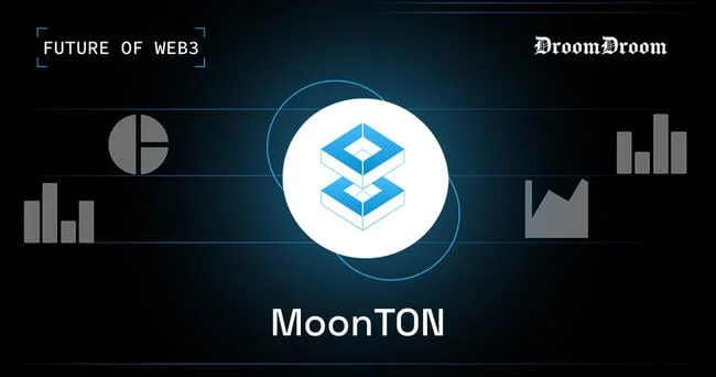 MoonTON: Bridging the Gap for Blockchain Interoperability and Liquidity