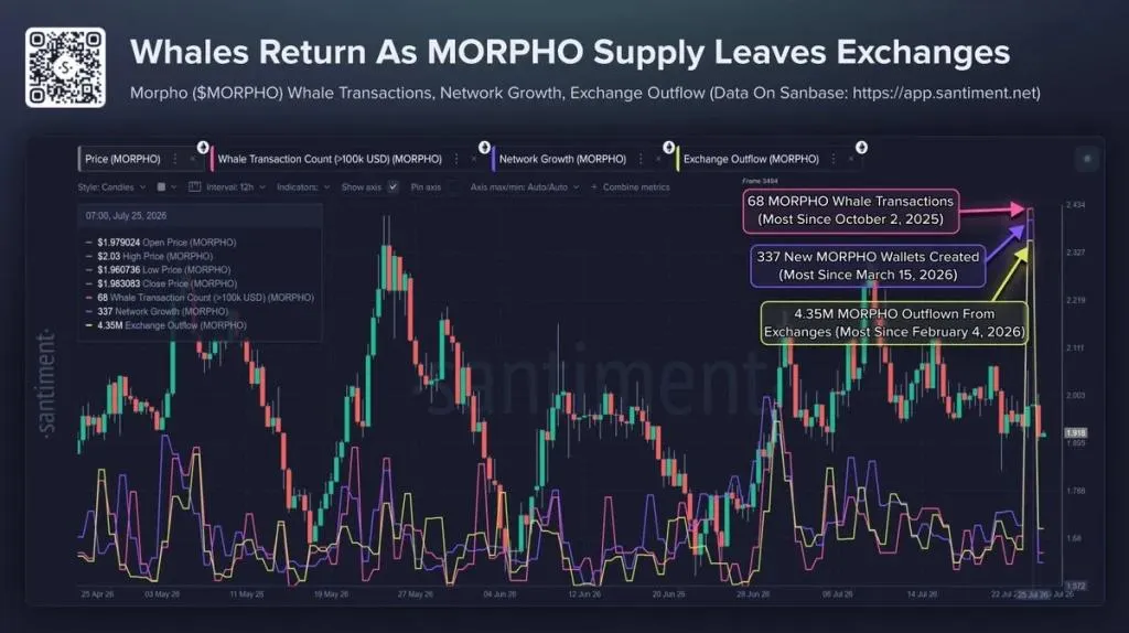 Morpho Whale Accumulation Grows, But Price Remains Range-Bound—Here’s What It Means