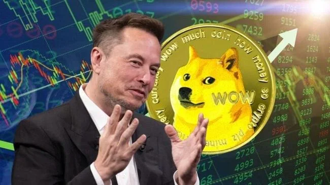 Musk's DOGE Role Boosts Dogecoin As Brian Armstrong Shows Support