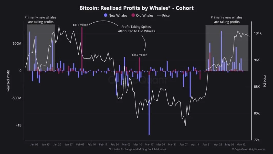 New Bitcoin Whales Are Taking Profits and Delaying a Breakout | Weekly Whale Watch