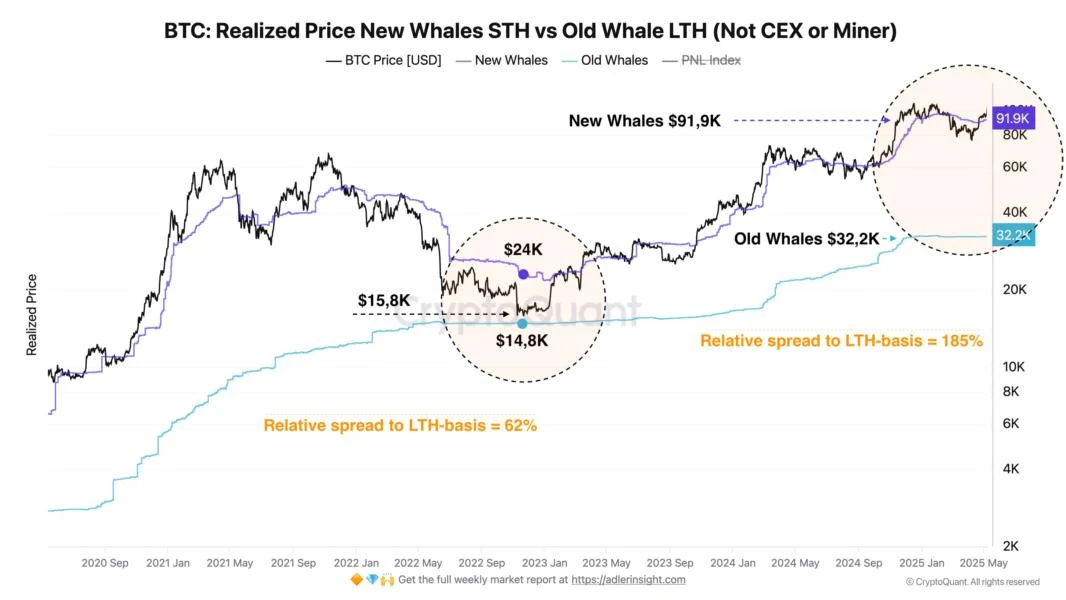 New Bitcoin Whales Sitting On 185% Higher Cost Basis Than HODLer Whales, Data Shows