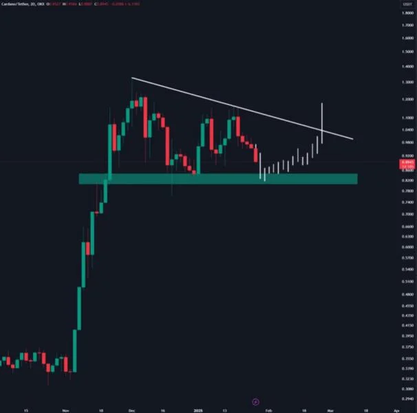 ‘No Need To Panic’: Cardano (ADA) Holding Key Level Despite 14% Drop