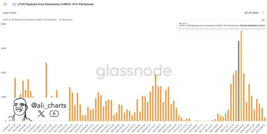 On-Chain Metrics Reveal The Most Critical Resistance For Bitcoin – Can BTC Break $97.5K?