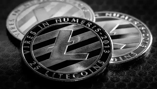 One of the Biggest Financial Giants Adds Litecoin to its Offerings