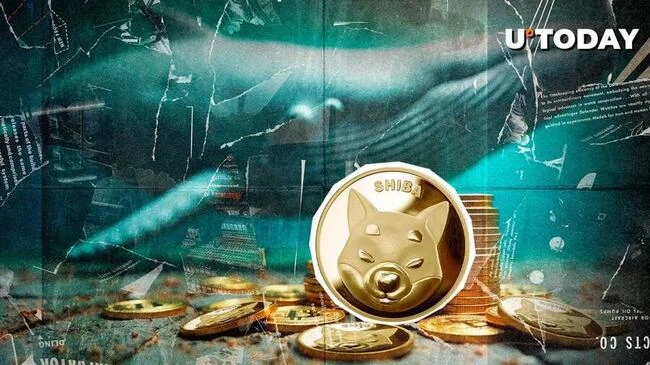 Only 628 Billion Shiba Inu (SHIB) In 24 Hours: Did Whales Give Up?