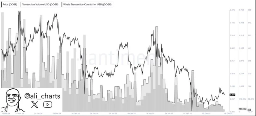 Panic Or Opportunity? Dogecoin Whales Liquidate 100 Million Coins