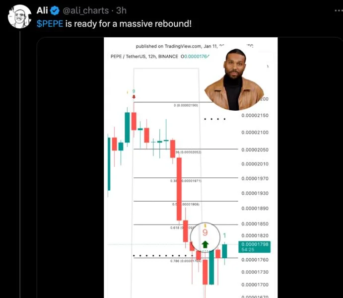 PEPE Price Rebound Might Be Underway — Here’s The Target