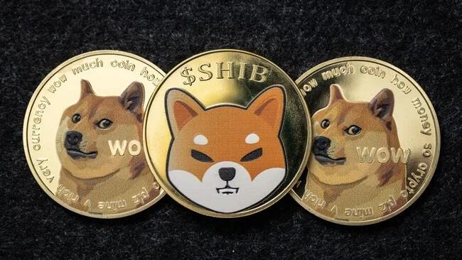 Popcat, Dogwifhat Chart Toppers In Memecoin Tsunami; Dogecoin, Shiba Inu Rise As Broader Sentiment Improves