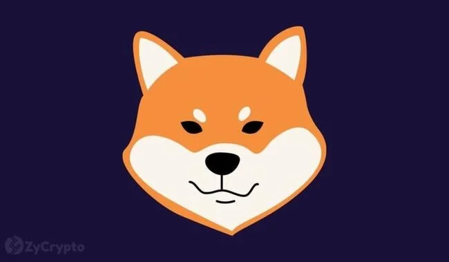 Pundit Predicts Shiba Inu Likely To See 10x Gain This Cycle Despite $0.01 SHIB Price Target Being Far Off