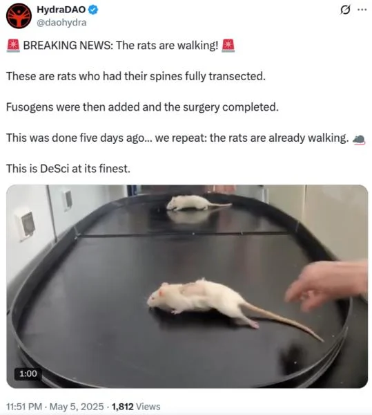 Research DAO claims paralyzed rats recover after spinal cord fix