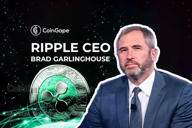 Ripple CEO Brad Garlinghouse Criticizes US SEC Chair Candidate Bob Stebbins