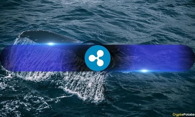 Ripple Whales and Sharks Are Buying as Retail Are Selling: Is That Bullish for XRP?