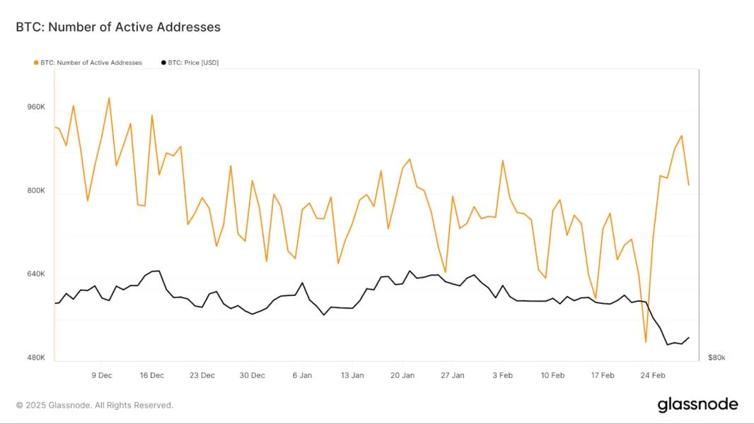 Rising Bitcoin activity hints at market bottom, potential reversal