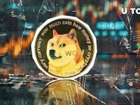 176 Million Dogecoin (DOGE) Transfer Stuns World's Largest Exchange - doge, dogecoin, world