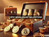 2-year high for Bitcoin’s whales – What does that mean for you? - whales, high, bitcoin, mean