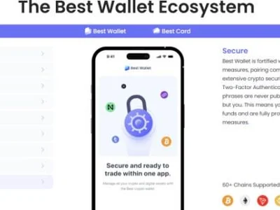 $400M Crypto Seizure by Secret Service Highlights Why Cold Storage and Best Wallet Are Essential - Crypto, 2024, crypto, mev, usdt, best, second, meme, tether, NewsBTC, one, wallet