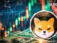 $500 Million in Shiba Inu (SHIB) in 24 Hours: Something Big Coming? - shiba, million, shib, ride