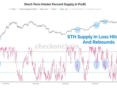 80% of Bitcoin short-term holders back in profit as analyst says 'FOMO in full swing' - fomo, bitcoin, trump, Crypto, 2024, btc, yolo, Cointelegraph