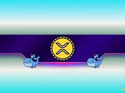 900,000,000 XRP Bought in a Month: What Do Ripple Whales Know? - CryptoPotato, Crypto, usa, etf, circle, xrp