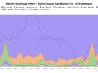 92% of Bitcoin exchange inflows come from short-term holders - come