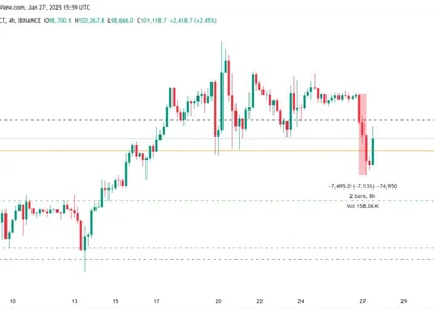 Absence of Bitcoin ‘panic selling’ suggests BTC drop below $98K is a short-term blip: Analyst - btc, crow, Cointelegraph, Crypto, one, donald trump, bitcoin