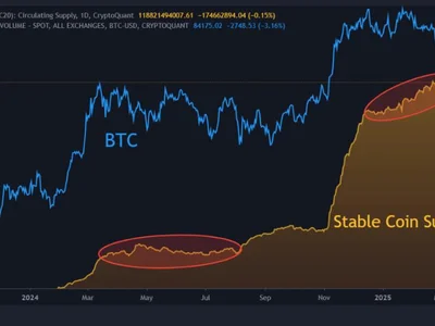 Analyst Compares Current Bitcoin Pullback to 2024 Market—Here’s What They Found - bitcoin, Crypto, chart, ratio, dan, NewsBTC, stablecoin