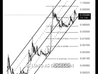 Analyst Predicts Dogecoin Price Surge To $4 — Here’s How - doge, NewsBTC, Crypto, dogecoin