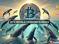 Analyzing Bitcoin’s surge: The impact of whales, institutional investments - whale, whales, bitcoin, surge