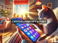 APT explodes as Aptos transactions surge 3570%: Tracing the last 24 hours - second, apt, aptos