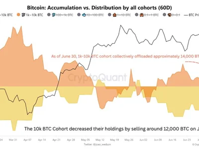 Are Bitcoin Retail Traders Back In The Market? On-Chain Data Suggests So - NewsBTC, binance bitcoin, bitcoin, btc, Crypto