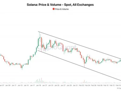 Are Meme Coins Hurting Solana? Rising Selling Pressure Sparks Investor Concerns - meme, NewsBTC, bitcoin, ftx, galaxy, libra, solana, coin, sol, Crypto