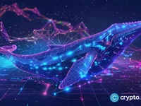 As ETH whales rotate holdings, Rollblock aims to outperform BNB, DOGE - ethereum, dogecoin, bnb, whales, eth