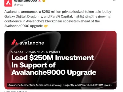 Avalanche raises $250M ahead of Avalanche9000 launch - Cointelegraph, token, launch, Crypto, avalanche