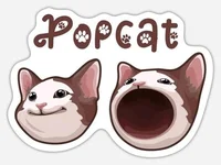 Bearish Signal for POPCAT: Price Could Fall by 15%, Here’s Why - solana, popcat, meme