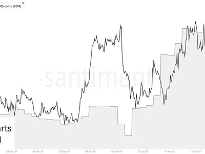 Behind Cardano 15% Correction: Here’s How Much ADA Whales Sold - NewsBTC, cardano, ada, Crypto, whales