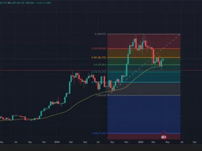 Best Altcoins to Buy as Long-Term $BTC Holders Continue to Remain in Profit Despite Recent Turbulence - one, meme, token, buy, mind, hodl, pepe, NewsBTC, Crypto, bitcoin, ban, btc, ai, trump, x