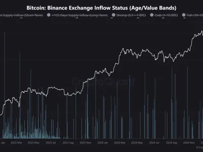 Binance Whales Cash Out as Bitcoin Drops—More Downside Ahead? - NewsBTC, chart, Crypto, bitcoin, one