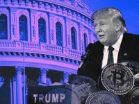 Bipartisan crypto legislation more likely to pass under Trump, but ‘will not be an initial priority’: TD Cowen - senate, house, crypto, trump