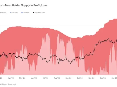 Bitcoin $100K Breakdown Spells Trouble For Short-Term Investors—Study - btc, term, bitcoin, NewsBTC, one, Crypto