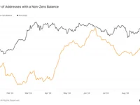 Bitcoin addresses with non-zero balances climb over 50 million in 2024 - zero, bitcoin, 2024