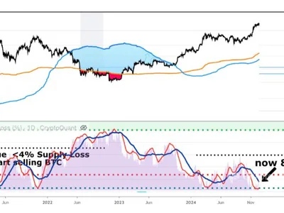  Bitcoin analysis: Start selling BTC when this key metric hits 4%  - one, btc, Crypto, Cointelegraph, bitcoin