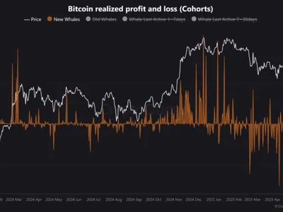 Bitcoin ATH Met With Mixed Whale Reactions – What’s The Market Signal? - btc, bitcoin, ath, Crypto, whales, NewsBTC