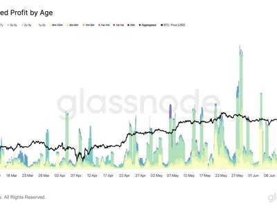 Bitcoin Back At $109,000, But HODLer Profit-Taking Down 89% - hodl, bitcoin, ath, NewsBTC, may, time, Crypto
