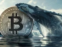 Bitcoin (BTC) Sees $150 Million in One Week: Whales Aren't Giving Up - whales, bitcoin