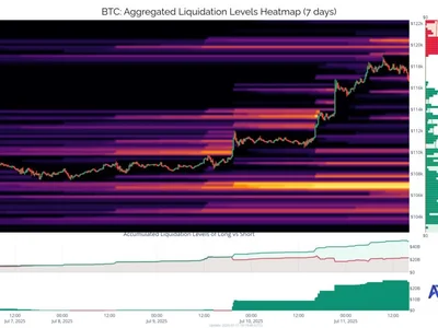 Bitcoin Bulls In Cloud 9? Analyst Identifies Where Risk Lies - NewsBTC, bitcoin, Crypto