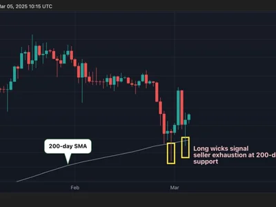 Bitcoin Could Swing Back to $95K Amid Signs of BTC Bear Exhaustion - Crypto, btc, CoinDesk