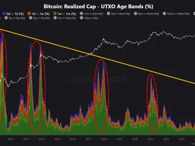 Bitcoin Enters Late Bull Cycle Stage, Says Analyst: What Investors Need to Know Now - NewsBTC, bitcoin, Crypto, chart, dan, utxo