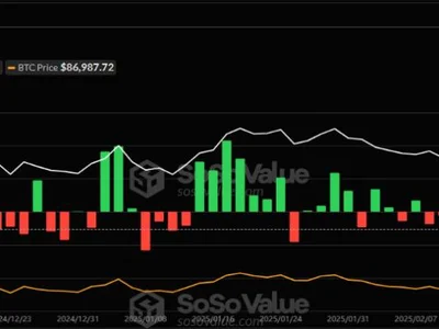 Bitcoin ETFs Record Four Weeks of Net Outflows Surpassing $4.5 Billion - ibit, trump, ETFs, bitcoin, Beincrypto, million, zero, donald trump, Crypto